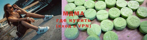 индика Гусь-Хрустальный