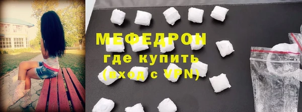 индика Гусь-Хрустальный
