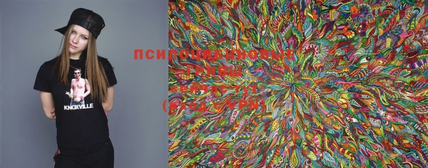 индика Гусь-Хрустальный