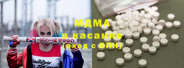 индика Гусь-Хрустальный