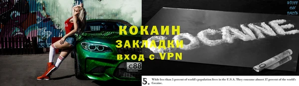 индика Гусь-Хрустальный