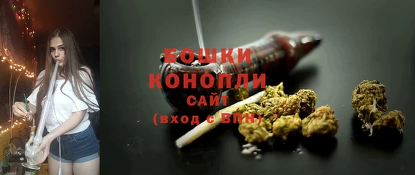 ALPHA-PVP Гусев