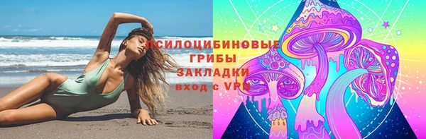 ALPHA-PVP Гусев