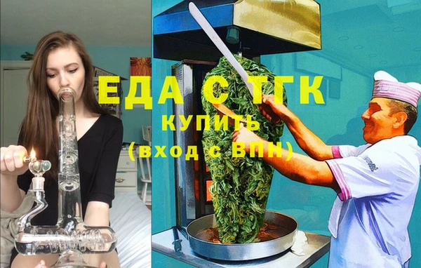 индика Гусь-Хрустальный