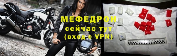индика Гусь-Хрустальный