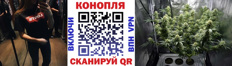 Бошки марихуана план мега как войти Прокопьевск